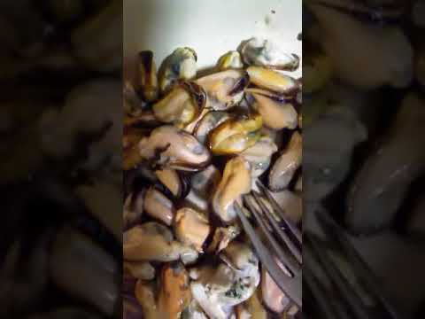 მიდიები  mussels  мидии